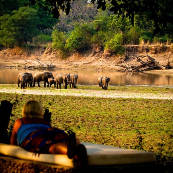 Croc Valley Camp – 4 nights/5 days