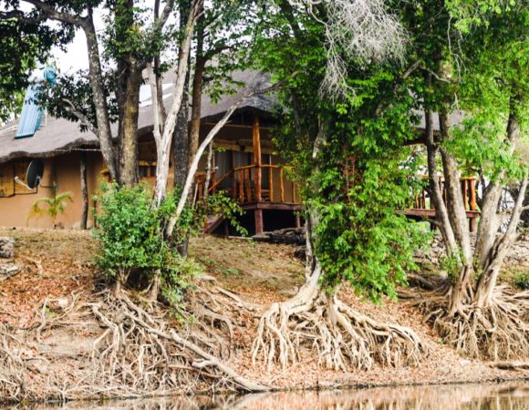 Mwamfunshi Safari Lodge 5 nights/6 days