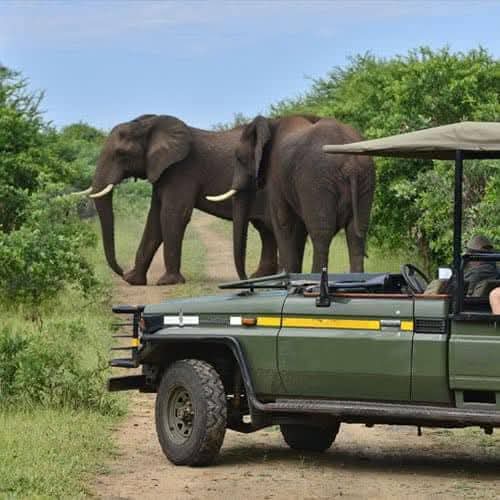 Multi-Country: Zambia, Tanzania & South Africa (17 Nights/18 Days)