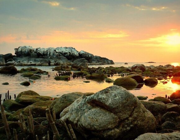 Blue Zebra Island Lodge- 4 nights/5 Days